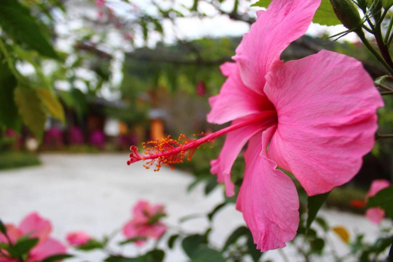 埔里夏都華蔓山林日式會館 Puli Huaman Villa ภายนอก รูปภาพ